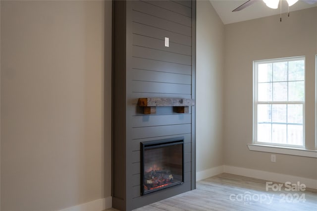 room details featuring a fireplace and wood-type flooring