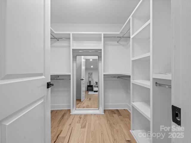 spacious closet with light hardwood / wood-style floors