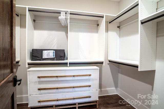 spacious closet featuring dark hardwood / wood-style floors