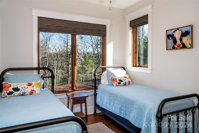 bedroom with multiple windows and dark hardwood / wood-style floors