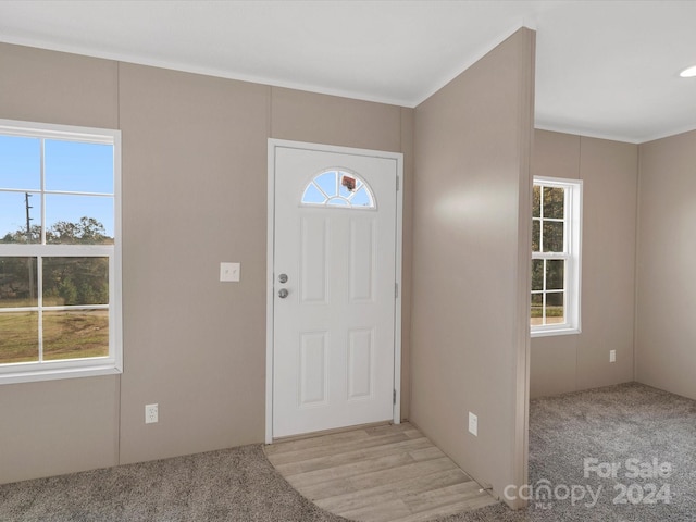 foyer with light wood-type flooring and plenty of natural light