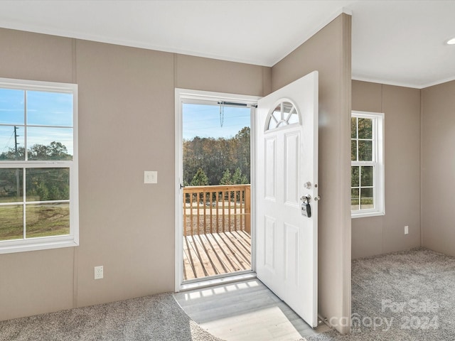 carpeted entrance foyer with ornamental molding