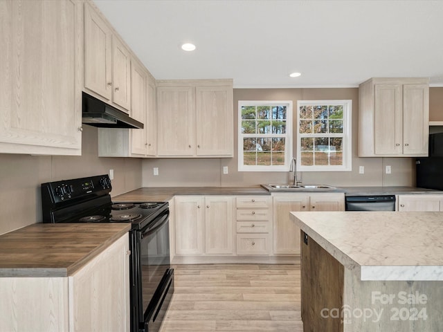 kitchen featuring light wood-type flooring, electric range, dishwasher, and sink