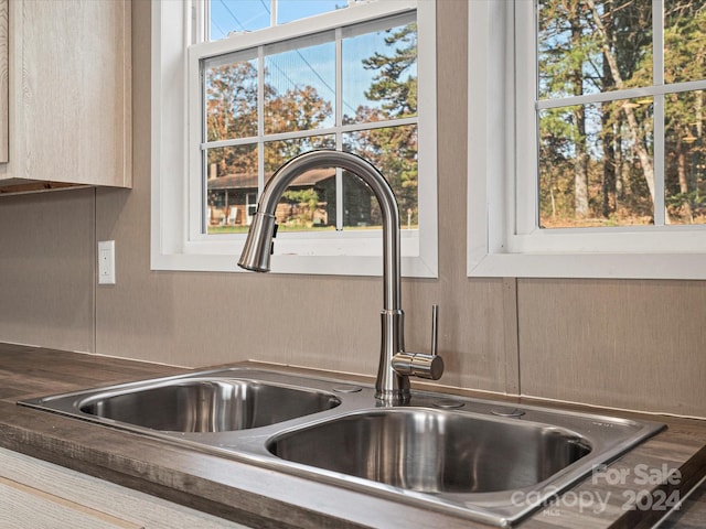 room details featuring sink and light brown cabinets