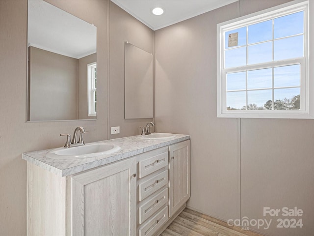 bathroom featuring crown molding, hardwood / wood-style floors, and vanity