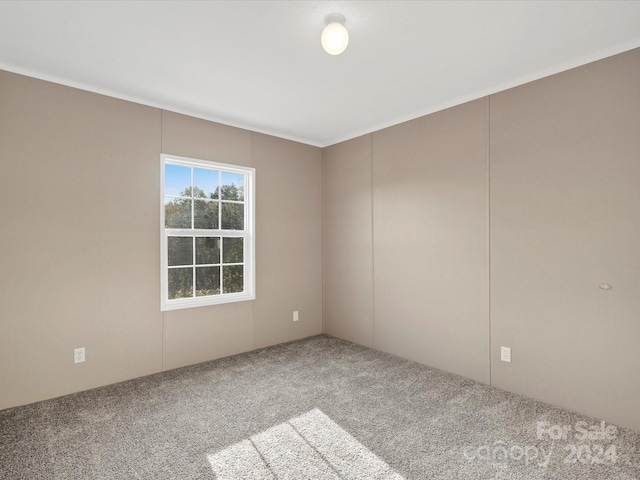 unfurnished room featuring carpet flooring