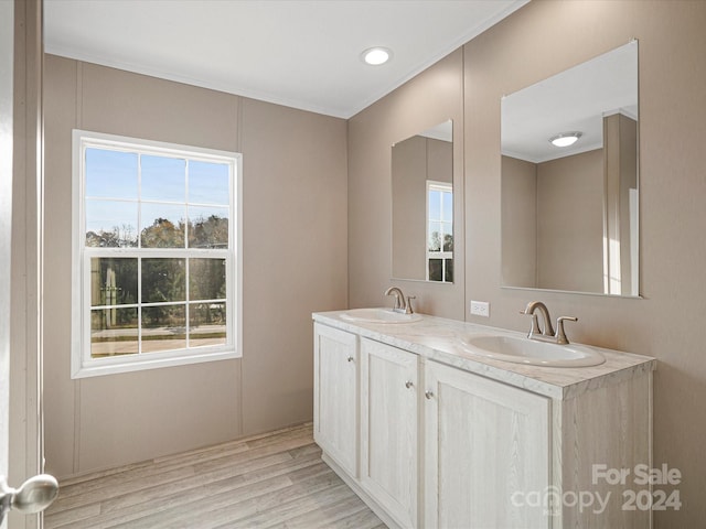 bathroom with vanity and wood-type flooring