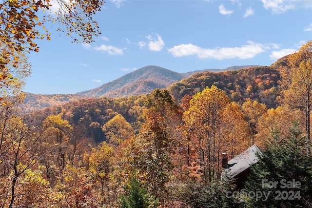 property view of mountains