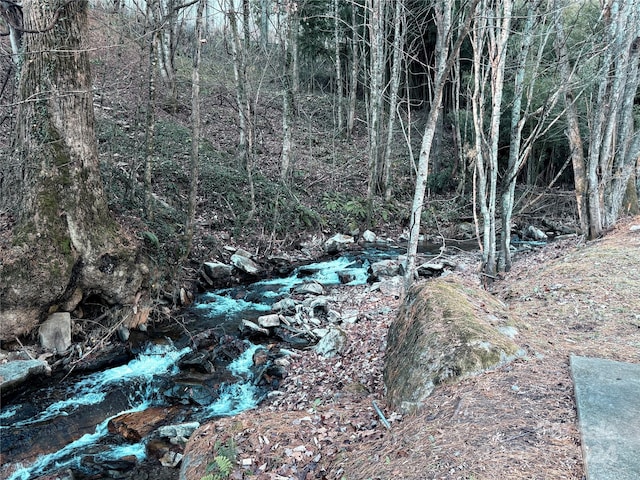 view of local wilderness