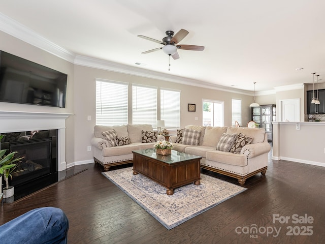 living room with ceiling fan, dark hardwood / wood-style floors, ornamental molding, and a fireplace