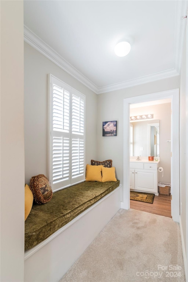 mudroom with light colored carpet and ornamental molding