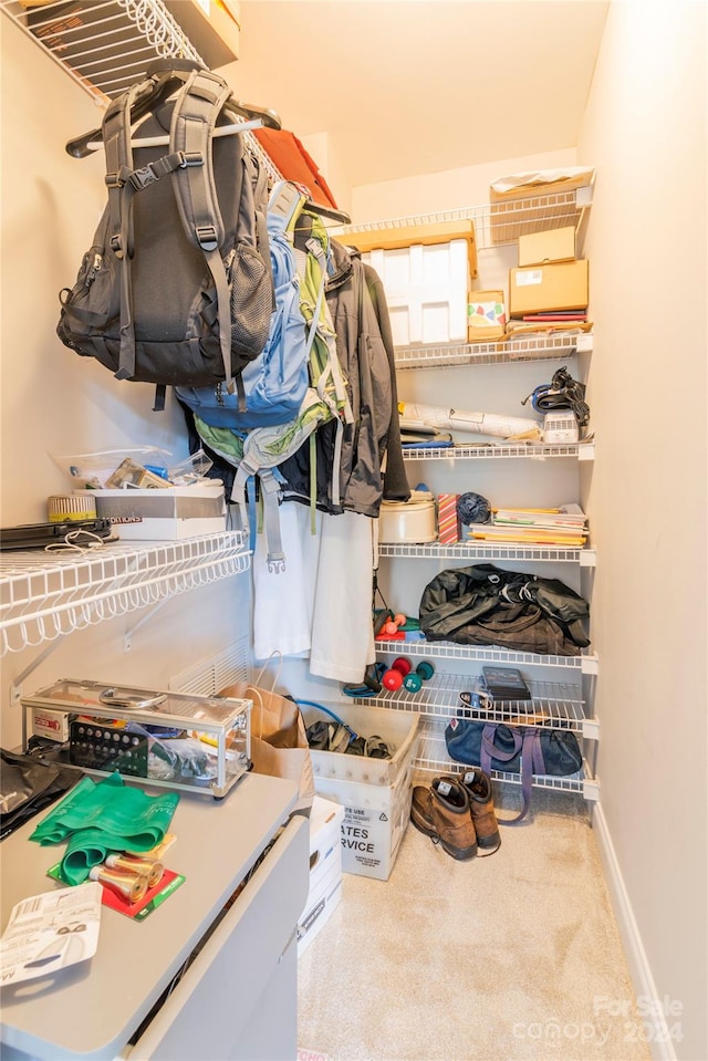 spacious closet with carpet