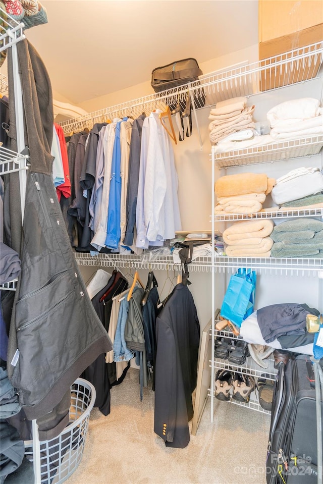 spacious closet with carpet flooring