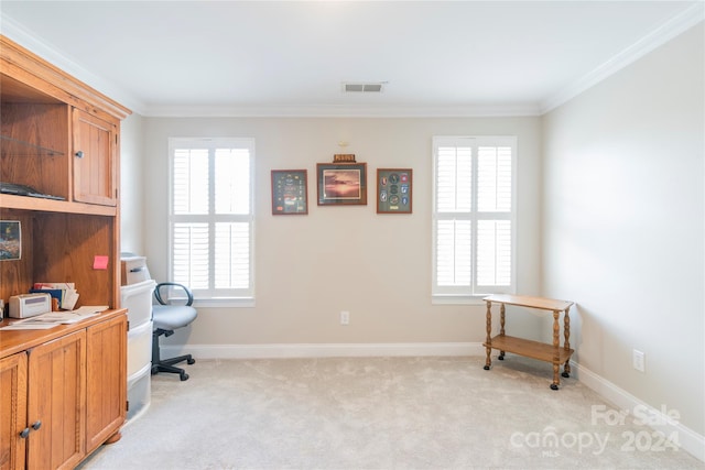 carpeted office space with a wealth of natural light and ornamental molding