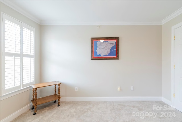 spare room with crown molding and light carpet