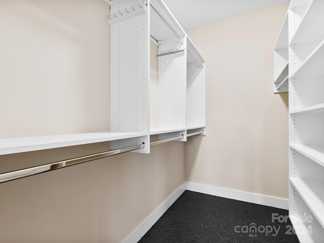 spacious closet featuring carpet floors