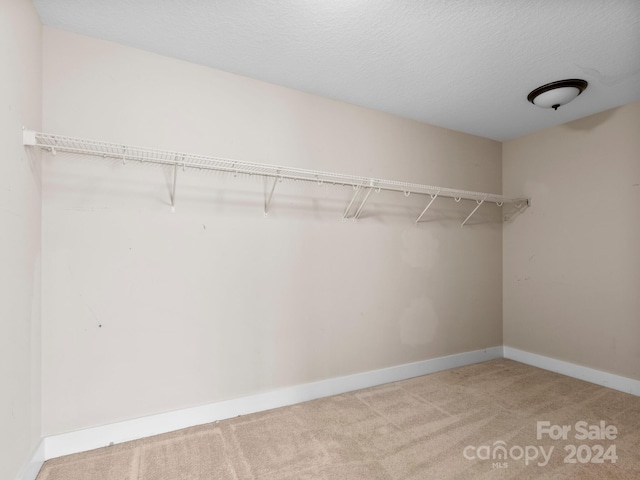 spacious closet featuring carpet flooring