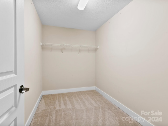 walk in closet featuring carpet flooring