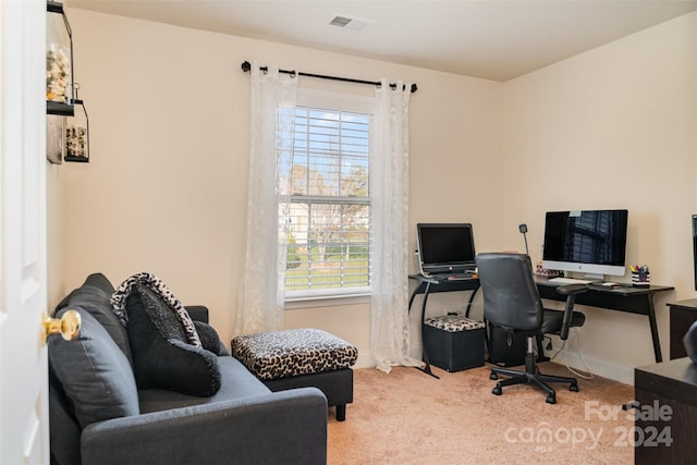 office area with carpet flooring and a wealth of natural light