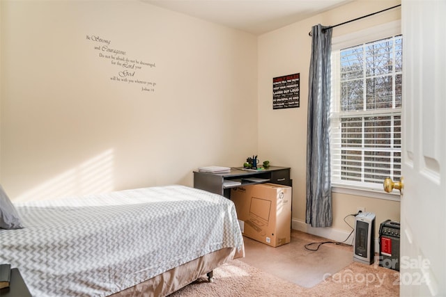 bedroom with carpet floors