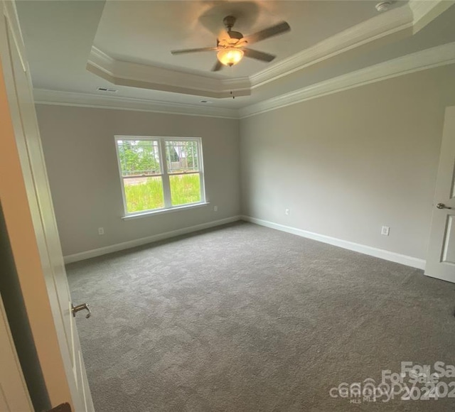 empty room featuring carpet, a raised ceiling, ceiling fan, and ornamental molding