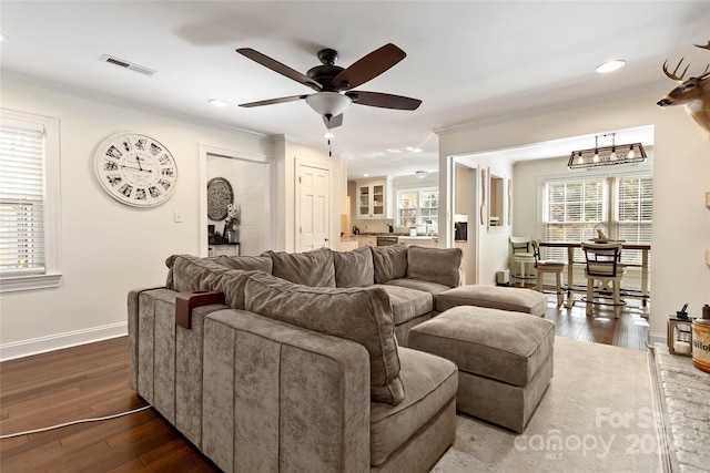 living room featuring ceiling fan with notable chandelier, dark hardwood / wood-style floors, and ornamental molding