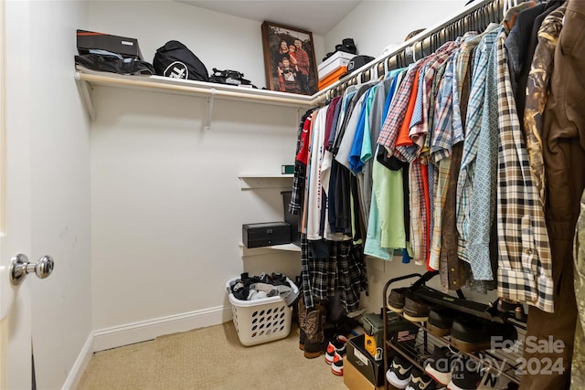 spacious closet with carpet