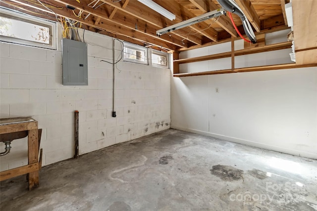 basement with electric panel