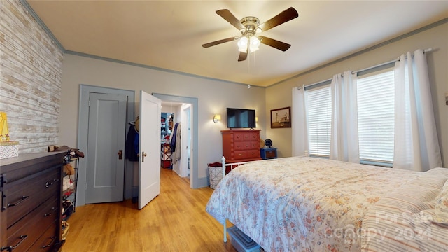 bedroom with a walk in closet, crown molding, ceiling fan, light hardwood / wood-style floors, and a closet