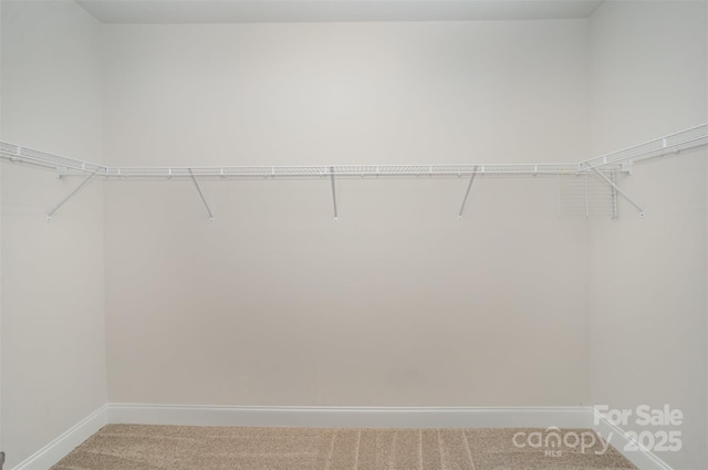 159 Rubys Way Unit 35, Oakboro, NC 28129 - spacious closet featuring carpet floors
