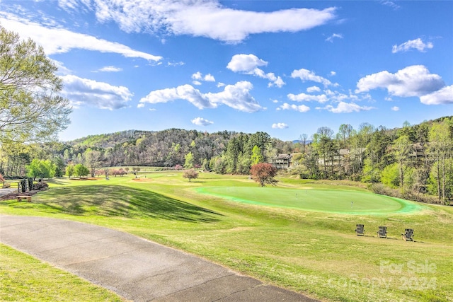 surrounding community featuring a yard