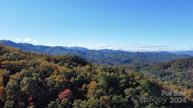 000 Brush Creek Rd, Bryson City NC, 28713 land for sale