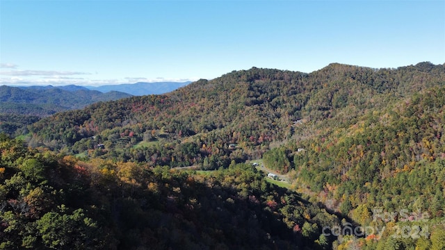 Listing photo 2 for 000 Brush Creek Rd, Bryson City NC 28713