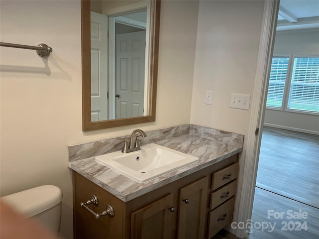 bathroom featuring hardwood / wood-style floors and vanity