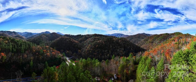 0 Sky Ridge Dr, Bryson City, NC 28713 - photo 1