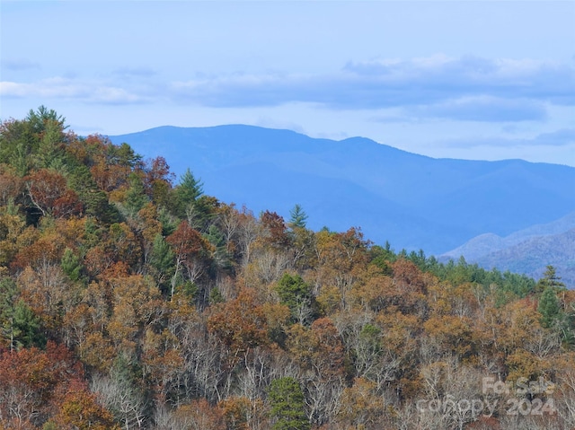 Listing photo 2 for 0 Sky Ridge Dr, Bryson City NC 28713