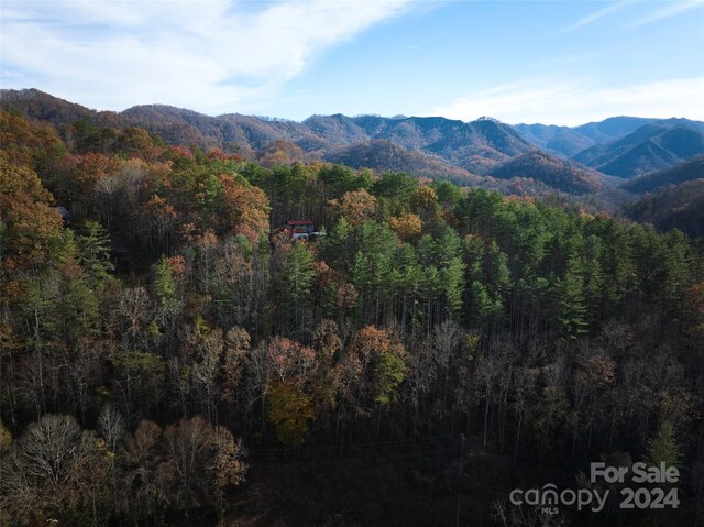0 Sky Ridge Dr, Bryson City, NC 28713 - photo 4