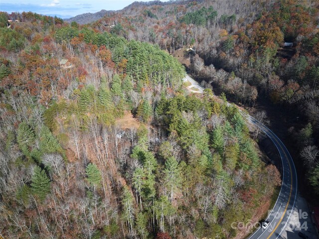 0 Sky Ridge Dr, Bryson City, NC 28713 - photo 5