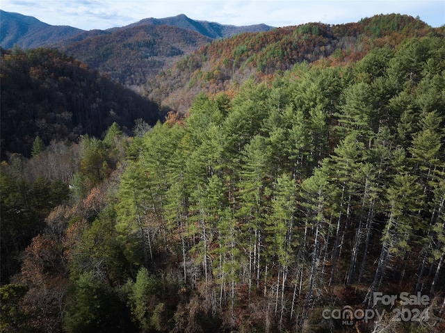0 Sky Ridge Dr, Bryson City, NC 28713 - photo 6
