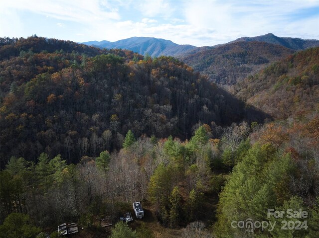 0 Sky Ridge Dr, Bryson City, NC 28713 - photo 12