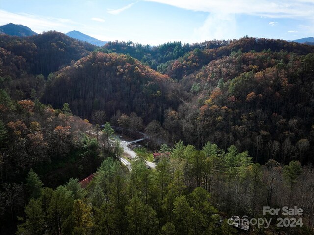 0 Sky Ridge Dr, Bryson City, NC 28713 - photo 13