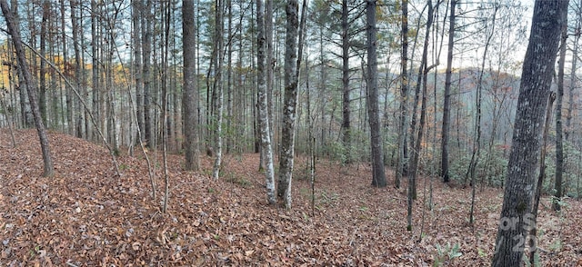 0 Sky Ridge Dr, Bryson City, NC 28713 - photo 14