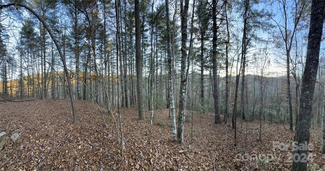 0 Sky Ridge Dr, Bryson City, NC 28713 - photo 15
