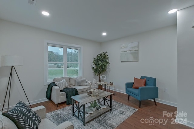 living room featuring hardwood / wood-style flooring