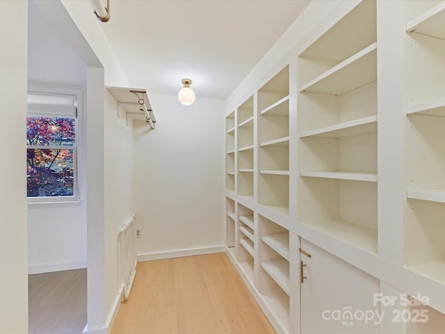 spacious closet featuring wood-type flooring