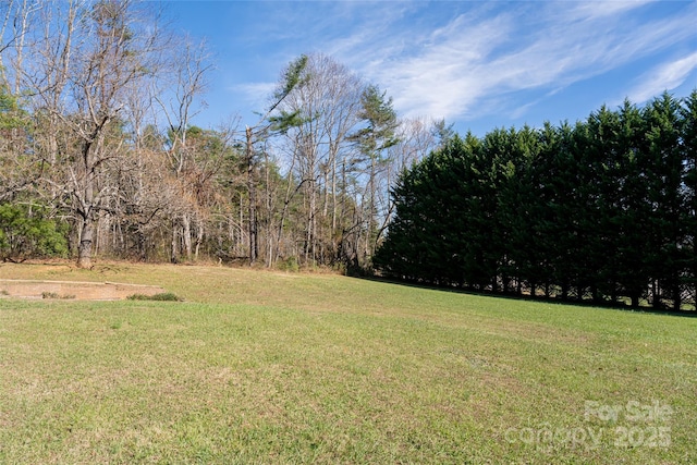 261 Lower Christ School Rd, Fletcher, NC 28732 - view of grassy yard