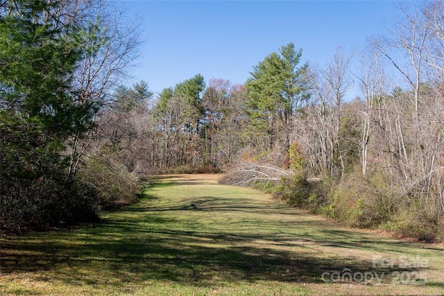 261 Lower Christ School Rd, Fletcher, NC 28732 - view of grassy yard with a view of trees