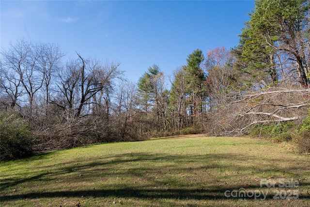 261 Lower Christ School Rd, Fletcher, NC 28732 - view of green lawn