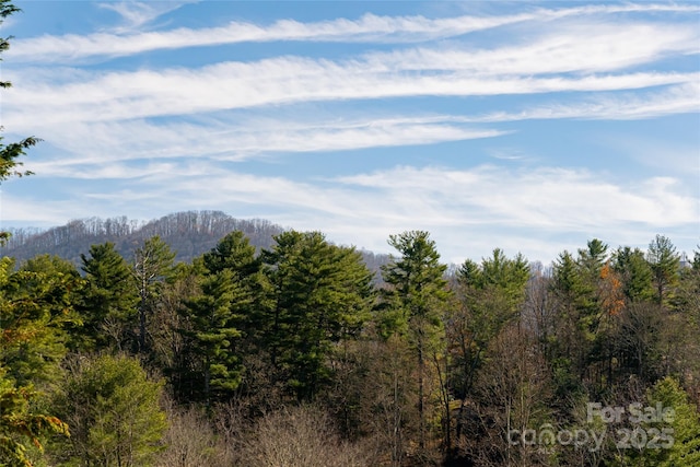 261 Lower Christ School Rd, Fletcher, NC 28732 - mountain view with a heavily wooded area