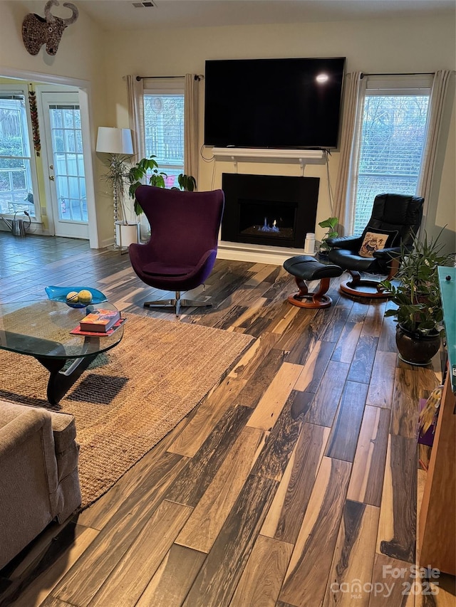 living room with wood-type flooring